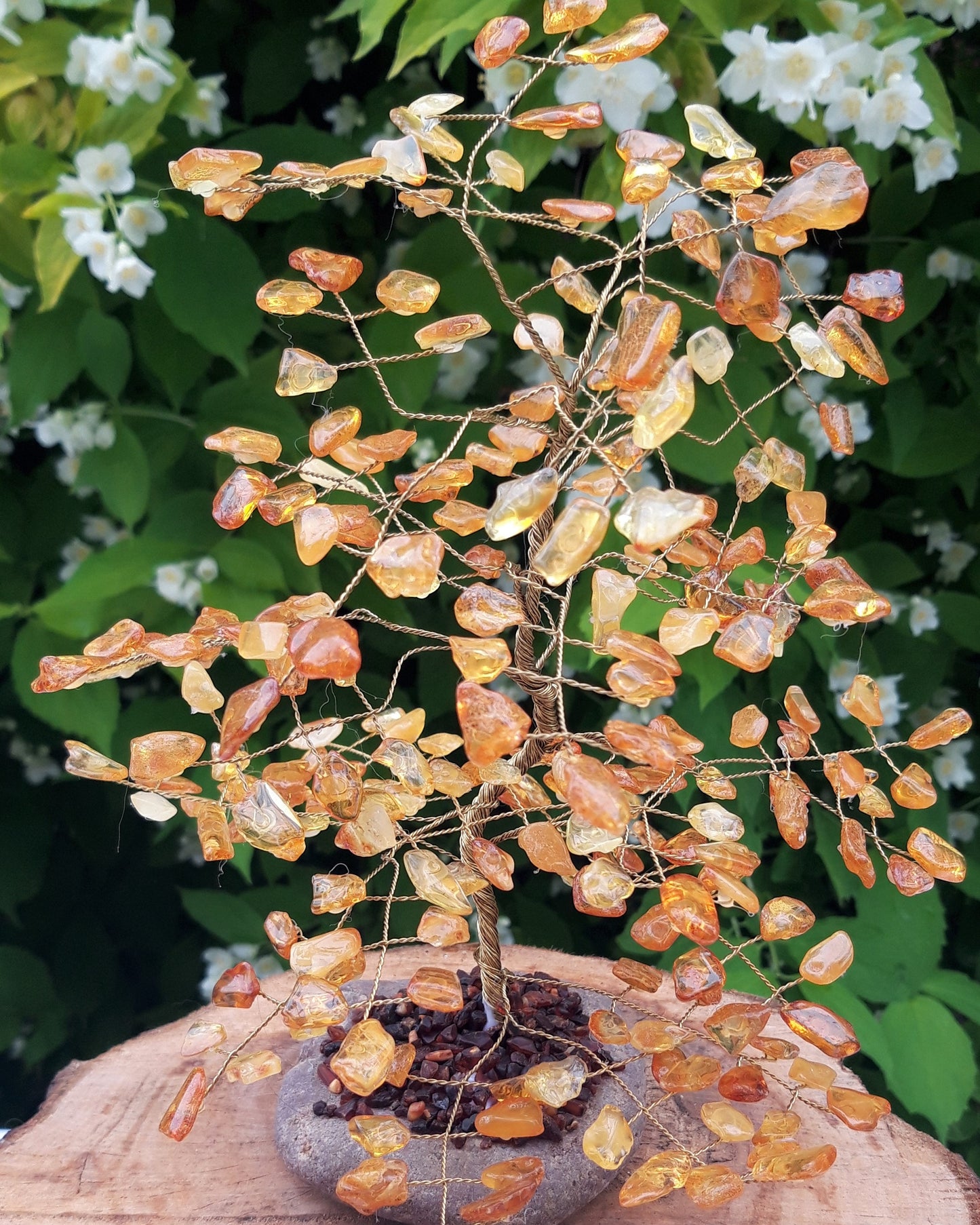 Amber tree